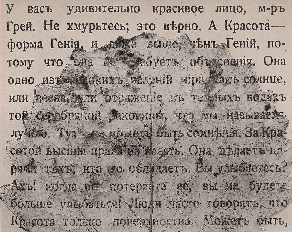 Alexandr Victorov: a photographer from a different era. Still-life. The leaf. 1995